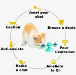 Juguete para gatos - Limpiar los dientes de los gatos 