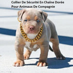 Collar de seguridad con cadena dorada para perros y gatos 