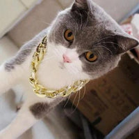 Collar de seguridad con cadena dorada para perros y gatos 