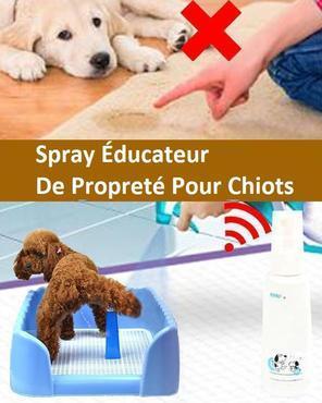 Spray para aprender a ir al baño para cachorros - Anti-pis