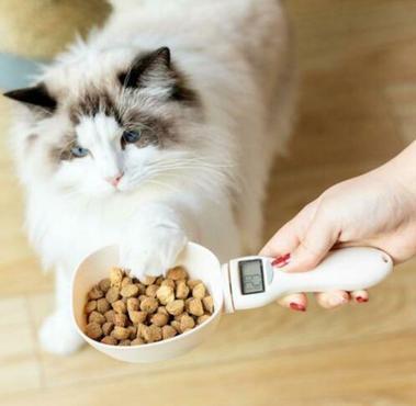 Pelle Alimentaire Numérique Pour Animaux Domestiques (chien et chat)