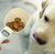 Cuchara de comida digital para mascotas (perro y gato) 